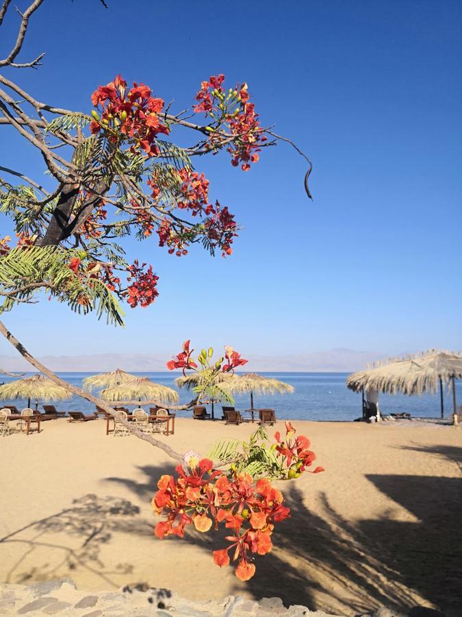 Nuweiba Lodge Nuweiba` Exterior foto